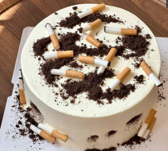 M004-Funny cigarette butt cake