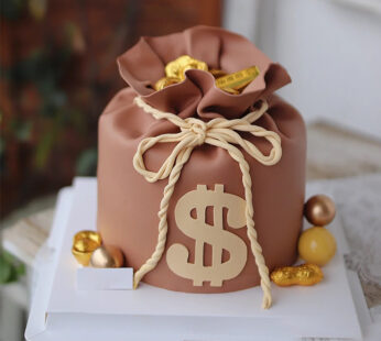 M020-Money bag cake