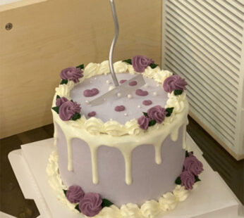 W013-Purple cake