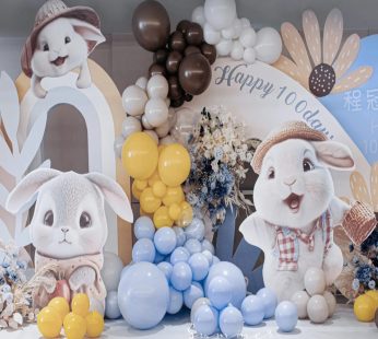 100 days in Blue,Yellow,Brown in Rabbit Decoration | Flower Gift Center