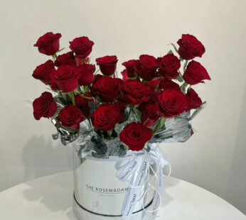 Red Roses In Bucket